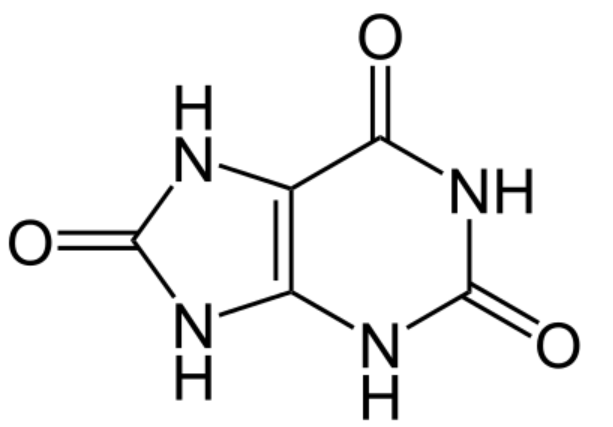 2aef7540df845dd4b0a85018968dbf95_1779162851_1288.png